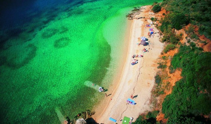 Pudarica Auf Der Insel Rab In Kroatien 9763