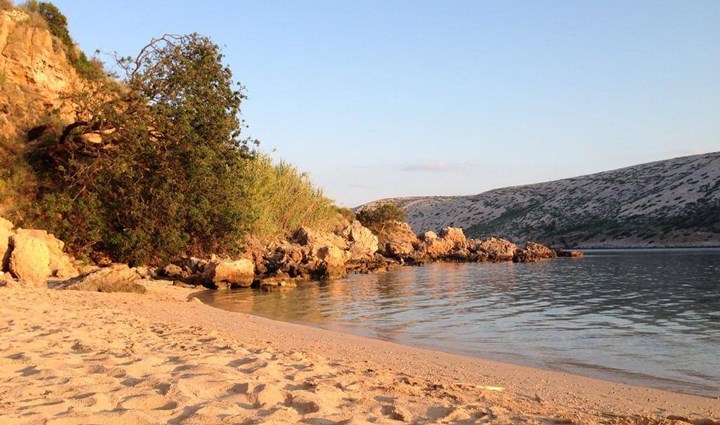 Pudarica Beach On The Island Of Rab In Croatia 2058
